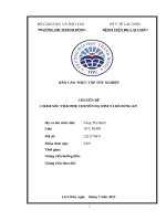 Báo cáo thực tập tốt nghiệp chuyên Đề chăm sóc thai phụ chuyển dạ sớm và Đẻ Đúng kỳ