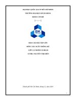 Báo cáo bài tập lớn môn xác suất thống kê 2