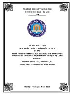 Phân tích sự tham gia của các chủ thể trong việc hình thành chuỗi giá trị Điểm Đến du lịch hạ long