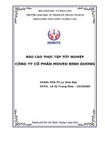 Báo cáo thực tập tốt nghiệp công ty cổ phần moveo bình dương