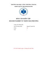 Báo cáo kiến tập doanh nghiệp tư nhân mai phương