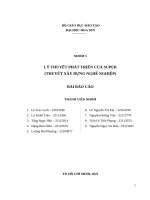 Lý thuyết phát triển của super (thuyết xây dựng nghề nghiệp) bài báo cáo