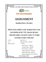 Phân tích chiến lược marketing cho sản phẩm nước tẩy trang bí Đao thương hiệu cocoon công ty tnhh nature story năm 2025