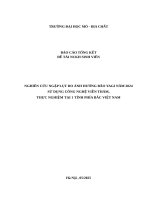 Nghiên cứu ngập lụt do Ảnh hưởng bão yagi năm 2024 sử dụng công nghệ viễn thám, thực nghiệm tại 1 tỉnh phía bắc việt nam