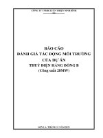 Báo cáo Đánh giá tác Động môi trường dự Án thủy Điện háng Đồng b