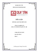 Tiểu luận môn học quản trị chiến lược công ty nghiên cứu công ty cổ phần sữa quốc tế   idp