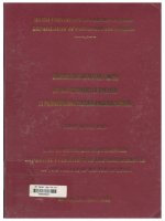 000028843 DIFFICULTIES OFTEN MET WITH BY HUE LEARNERS OF ENGLISH IN PRONOUNCING CERTAIN ENGLISH SOUNDS NHỮNG KHÓ KHĂN THƯỜNG GẶP PHẢI CỦA NGƯỜI HỌC TIẾNG ANH KHI PHÁT ÂM MỘT SỐ ÂM TIẾNG ANH