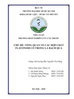 Chủ Đề tổng quan về các hợp chất flavonoid có trong lá bạch quả