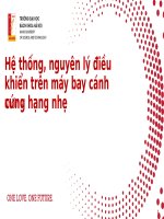 Hệ thống, nguyên lý Điều khiển trên máy bay cánh cứng hạng nhẹ