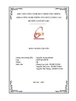 Báo cáo bài tập lớn