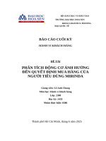 Phân tích Động cơ Ảnh hưởng Đến quyết Định mua hàng của người tiêu dùng mirinda