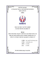 Phân tích thực trạng và Đề xuất giải pháp nâng cao hiệu quả hoạt Động social media marketing của công ty cổ phần thương mại dịch vụ phong vũ