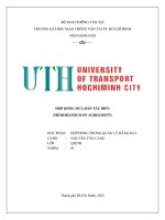 Hợp Đồng mua bán tàu biển (memorandum of agreement)