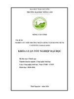 Nghiên cứu môi trường nghiên cứu nấm hương rừng cao bằng lentinula edodes