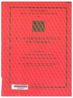 000080978 TV ADVERTISING EFFECTS ON CHILDREN ẢNH HƯỞNG CỦA QUẢNG CÁO TRUYỀN HÌNH ĐỐI VỚI TRẺ EM