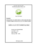 Ảnh hưởng của phân bón lá Đến sinh trưởng và phát triển năng suất của cây hồng xiêm