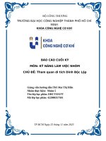 IUH - BÁO CÁO KỸ NĂNG LÀM VIỆC NHÓM - Tham quan di tích Dinh Độc Lập