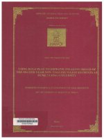 000072542 USNG ROLE PLAY TO IMPROVE SPEAKING SKILLS OF THESECOND YEAR NON- ENGLISH MAJOR STUDENTS AT HUNG VUONG UNIVERSITY Sử dụng trò chơi nhập vai để cải thiện kỹ năng nói cho sinh viên năm thứ hai không chuyên tiếng Anh tại trường Đại học Hùng Vương