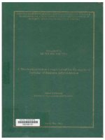000069181 VIETTEL GROUP'S PUBLIC RELATIONS ACTIVITIES IN DOMESTIC TELECOMMUNICATION MARKET AND ITS EFFECTIVENESS IN BUILDING THEIR BRAND EQUITY IN 2004-2011