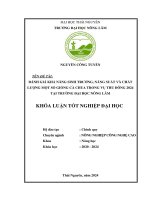 Đánh giá khả năng sinh trưởng, năng suất và chất lượng một số giống cà chua trong vụ thu Đông 2024 tại trường Đại học nông lâm