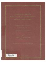000042794 E-business Website Evaluation & Recommendations A Case Study Based Trang web kinh doanh điện tử Đánh giá & Khuyến nghị Dựa trên một nghiên cứu điển hình