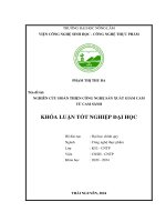 Nghiên cứu hoàn thiện quy trình sản xuất giấm cam từ cam sành