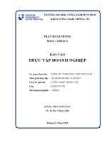 IUH - BCTT CNTT - CÔNG TY TNHH MTV UDT VIỆT NAM