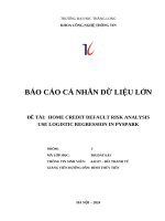 Đề tài home credit default risk analysis use logistic regression in pyspark