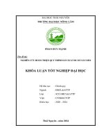 Nghiên cứu hoàn thiện quy trình sản xuất Đu Đủ sấy dẻo