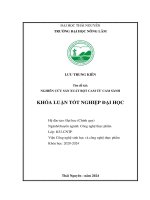 Nghiên cứu sản xuất bột cam từ cam sành