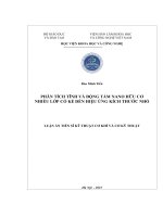 Phân tích tĩnh và Động tấm nano hữu cơ nhiều lớp có kể Đến hiệu Ứng kích thước nhỏ