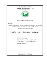 Nghiên cứu một số yếu tố Ảnh hưởng Đến quá trình tách chiết hợp chất hòa tan từ lá dứa thơm (pandanus amaryllifolius roxb)