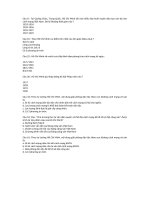 Những câu vẫn sai