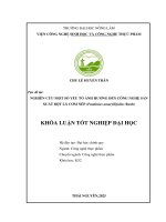 Nghiên cứu một số yếu tố Ảnh hưởng Đến quá trình sản xuất bột lá dứa thơm (pandanus amaryllifolius roxb ) Ứng dụng vào nhuộm màu thực phẩm