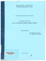 000079063 ĐỀ TÀI KHOA HỌC CẤP TRƯỜNG TÀI LIỆU TRA CỨU CÁC CỤM KẾT HỢP TIẾNG NHẬT
