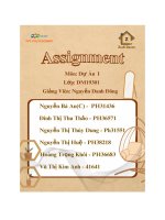 Tổng quan về dự Án zudi decor