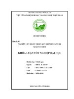 Nghiên cứu hoàn thiện quy trình sản xuất xoài sấy dẻo