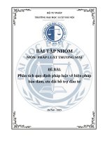 Phân tích quy định pháp luật về biện pháp bảo đảm, ưu đãi hỗ trợ đầu tư