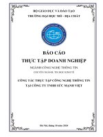CÔNG TÁC THỰC TẬP CÔNG NGHỆ THÔNG TIN TẠI CÔNG TY TNHH SỨC MẠNH VIỆT