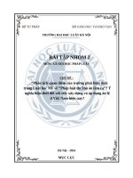 “Phân tích quan điểm của trường phái hiện thực trong Luật học Mỹ về “Pháp luật do Tòa án làm ra”? Ý nghĩa hiện thời đối với việc xây dựng và áp dụng án lệ ở Việt Nam hiện nay?