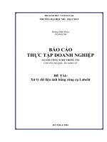 Xử lý dữ liệu ảnh bằng công cụ Labelit