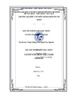 Cơ sở văn hóa việt nam Đề tài cồng chiêng của người tây nguyên