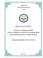 Chủ Đề tư tưởng hồ chí minh về cách mạng giải phóng dân tộc, luận Điểm sáng tạo và Ý nghĩa vấn Đề này