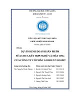 Dự Án kinh doanh sản phẩm sữa chua kết hợp nghệ và mật ong của công ty cổ phần golden yogurt