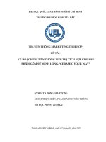 Kế hoạch truyền thông tiếp thị tích hợp cho sản phẩm gốm sứ minh long ceramic your way