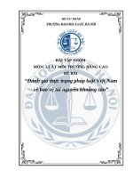 Đánh giá thực trạng pháp luật Việt Nam 
về bảo vệ tài nguyên khoáng sản