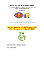 Hợp tác quốc tế (sdg17) hướng Đến hành Động về khí hậu (sdg13)