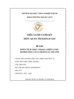 Đề tài phân tích thực trạng chiến lược marketing của caravelle sài gòn