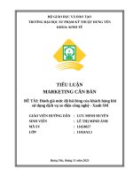 Tiểu luận marketing căn bản Đề tài Đánh giá mức Độ hài lòng của khách hàng khi sử dụng dịch vụ xe Điện công nghệ   xanh sm