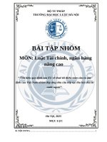 Tìm hiểu quy định của EU về thuế tối thiểu toàn cầu và quy định của Việt Nam nhằm đáp ứng nhu cầu tiếp tục thu hút đầu tư nước ngoài